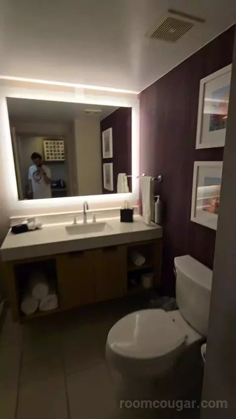 Two Room One King Conference (#304) bathroom picture #7