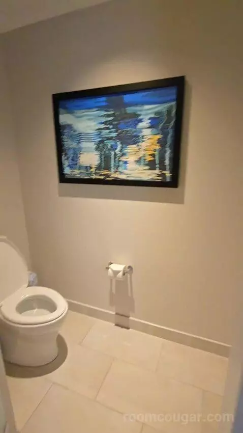Premium Guest Room with 1 King, Water View (#1876) bathroom picture #2