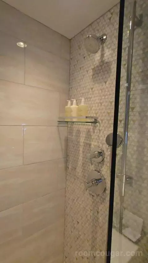 Premium Guest Room with 1 King, Water View (#1876) bathroom picture #7