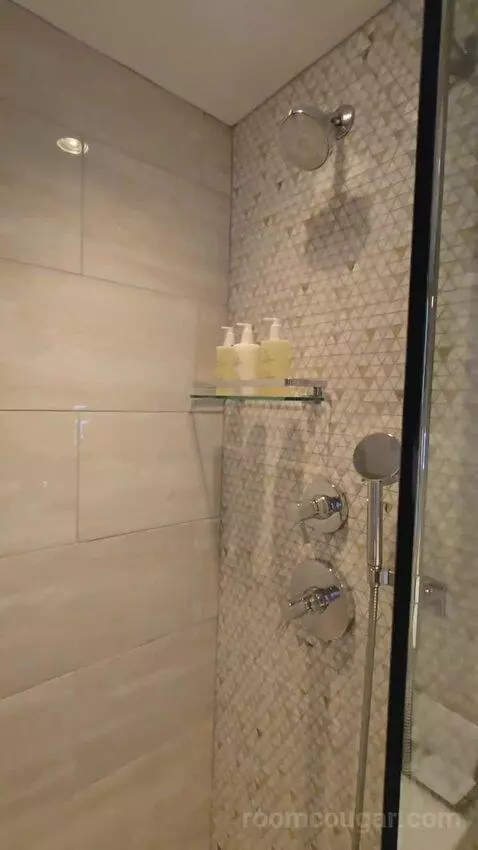 Premium Guest Room with 1 King, Water View (#1876) bathroom picture #8