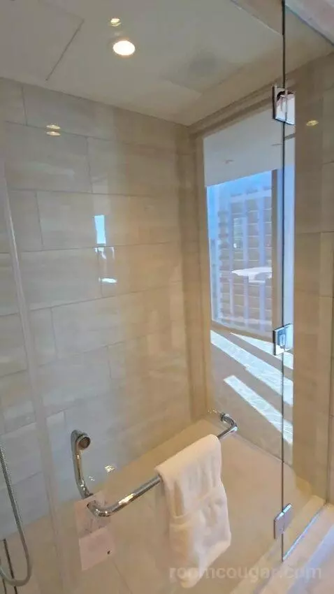 1 Bedroom Executive Suite with 1 King, Sofa Bed, Corner Room (#1886) bathroom picture #5