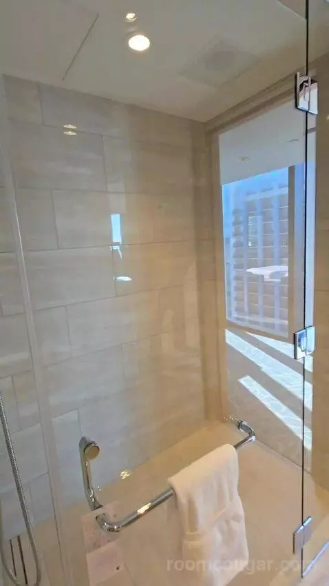 1 Bedroom Executive Suite with 1 King, Sofa Bed, Corner Room (#1886) bathroom picture #6