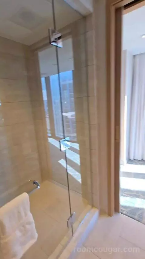 1 Bedroom Executive Suite with 1 King, Sofa Bed, Corner Room (#1886) bathroom picture #8