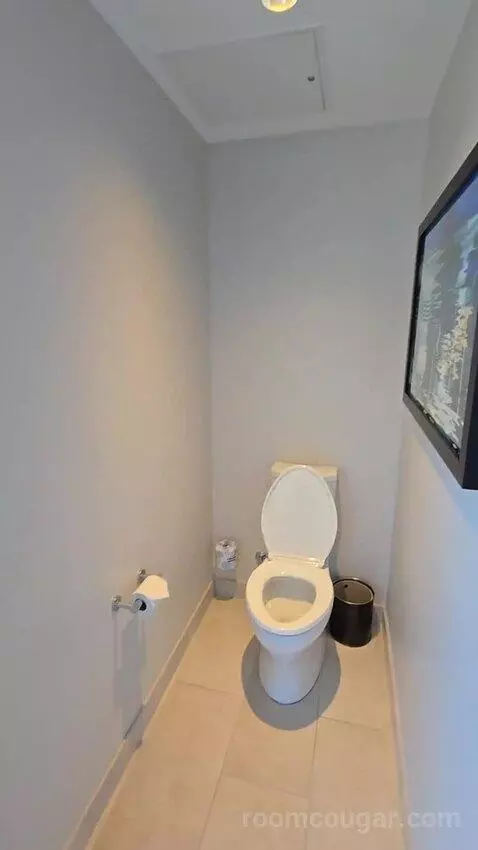 Guest Room with 1 King, City View, Corner Room (#1860) bathroom picture #7
