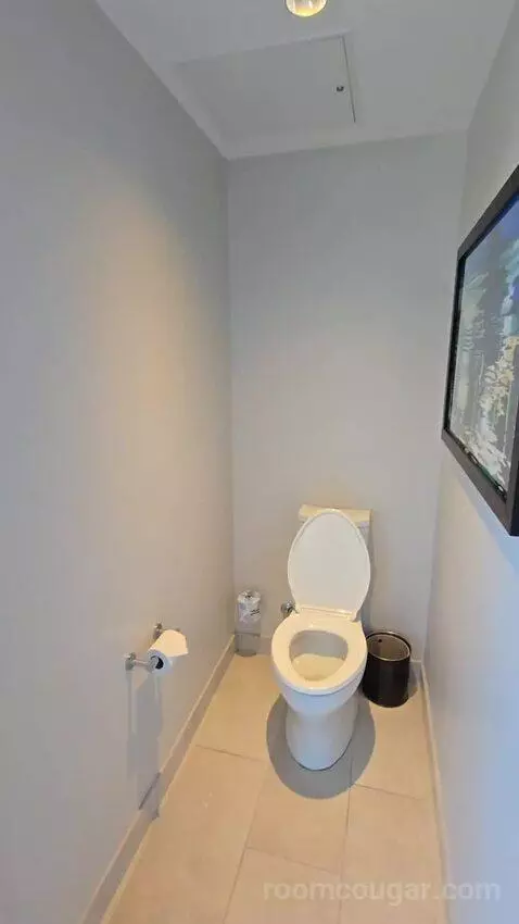 Guest Room with 1 King, City View, Corner Room (#1860) bathroom picture #8
