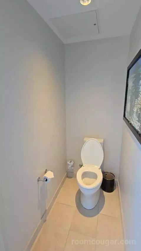 Guest Room with 1 King, City View, Corner Room (#1860) bathroom picture #9