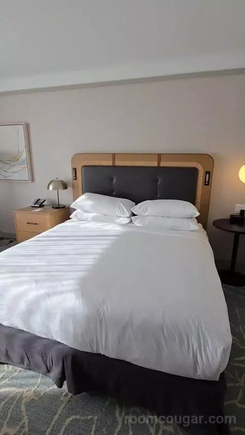 Deluxe King Room - Hearing Accessible (#1976) bed picture #2