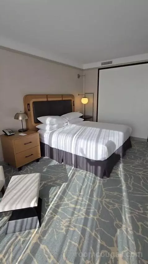 Deluxe King Room - Hearing Accessible (#1976) bed picture #4