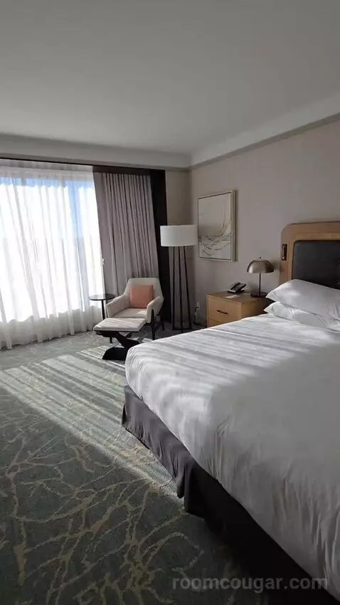 Deluxe King Room - Hearing Accessible (#1976) bed picture #6