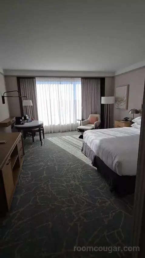 Deluxe King Room - Hearing Accessible (#1976) bed picture #7