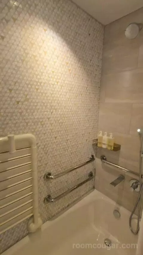 Deluxe King Room - Hearing Accessible (#1976) bathroom picture #6