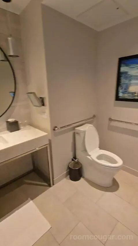 Deluxe King Room - Hearing Accessible (#1976) bathroom picture #10