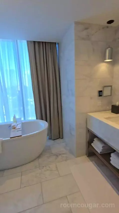 Presidential Suite (#2651) bathroom picture #8