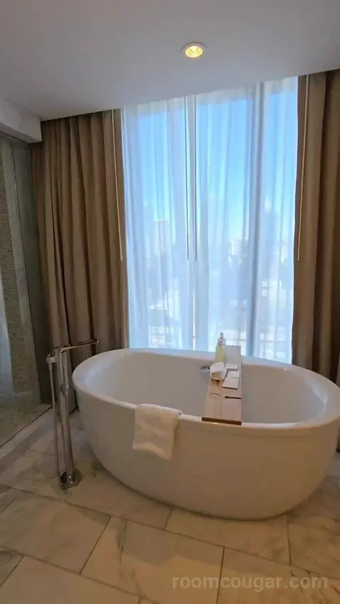 Presidential Suite (#2651) bathroom picture #9