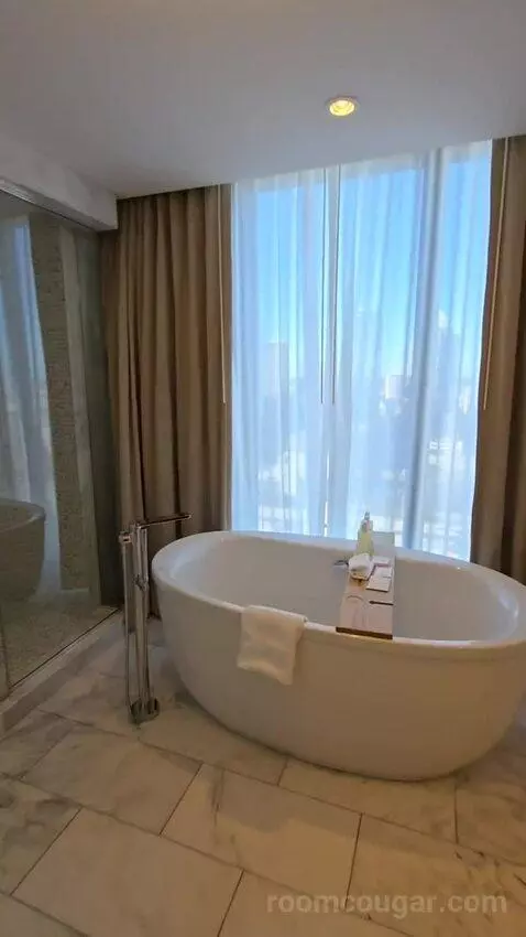 Presidential Suite (#2651) bathroom picture #10