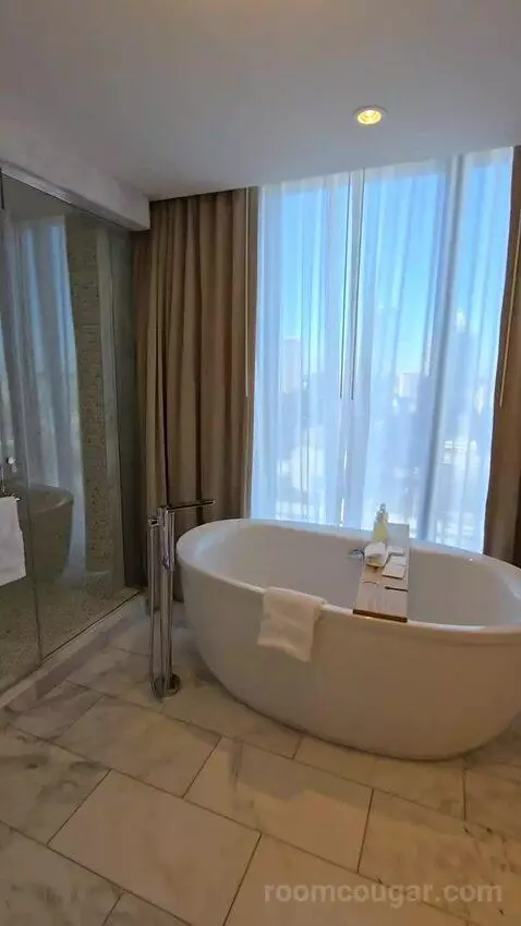 Presidential Suite (#2651) bathroom picture #11