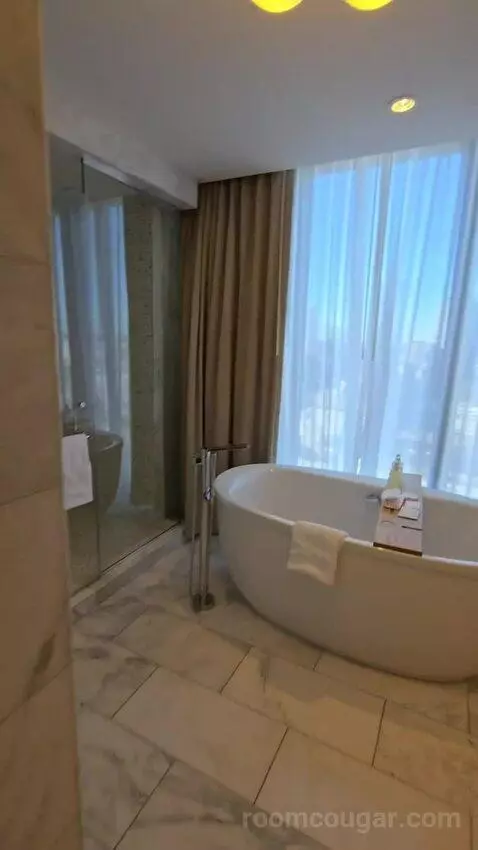 Presidential Suite (#2651) bathroom picture #12
