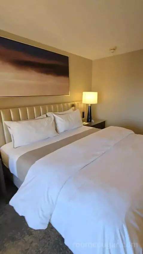 Guest Room, 1 King, Partial Bay View (#1204) bed picture #9