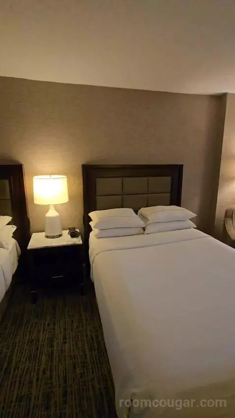 Standard Room with Two Double Beds with Pool View (#904) bed picture #7