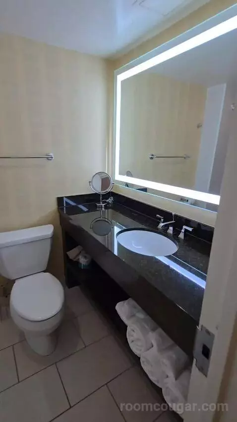 Standard Room with Two Double Beds with Pool View (#904) bathroom picture #1