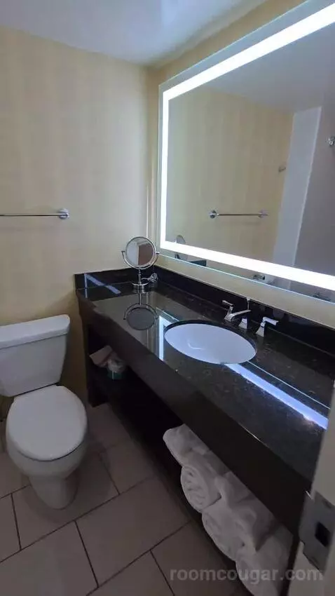 Standard Room with Two Double Beds with Pool View (#904) bathroom picture #2