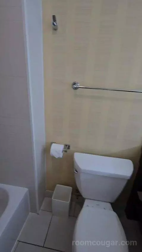 Standard Room with Two Double Beds with Pool View (#904) bathroom picture #4