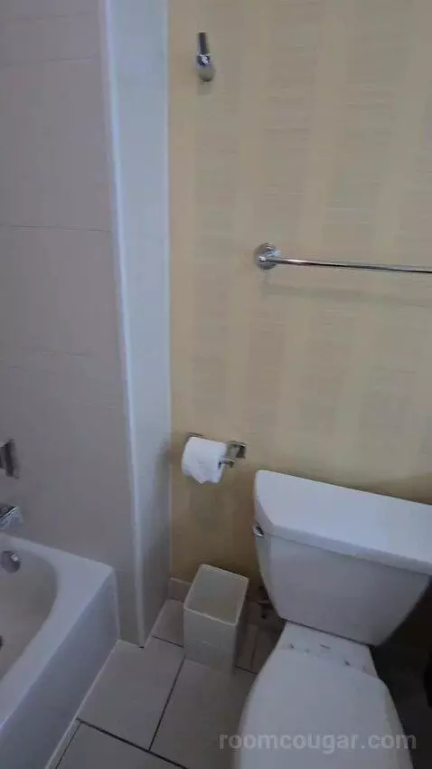 Standard Room with Two Double Beds with Pool View (#904) bathroom picture #5