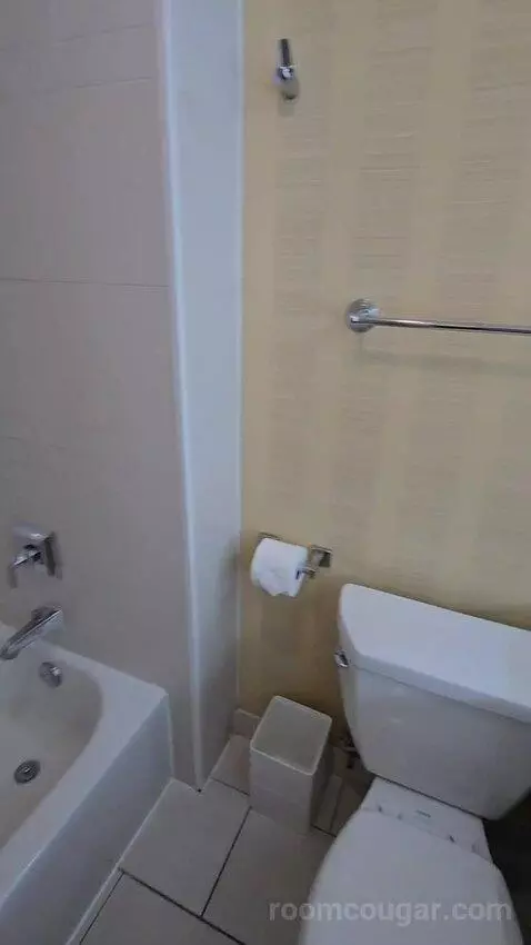 Standard Room with Two Double Beds with Pool View (#904) bathroom picture #6