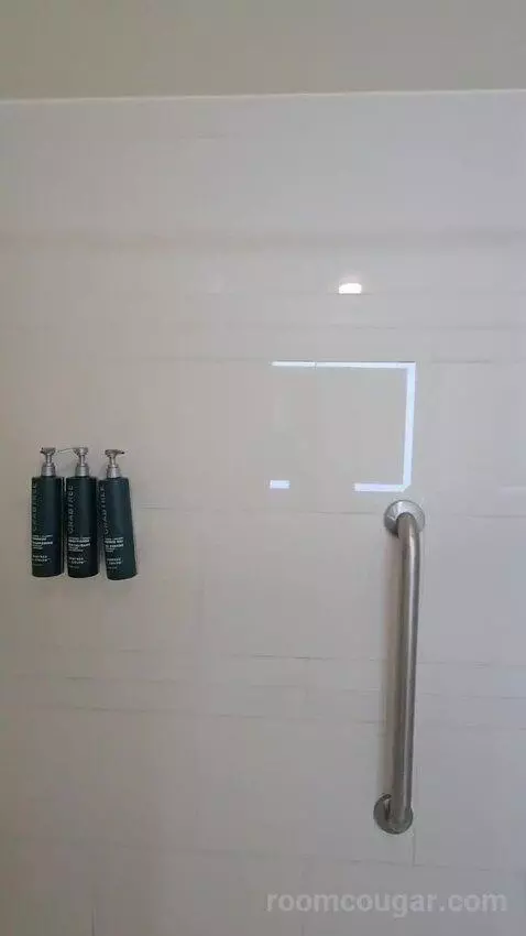 Standard Room with Two Double Beds with Pool View (#904) bathroom picture #7