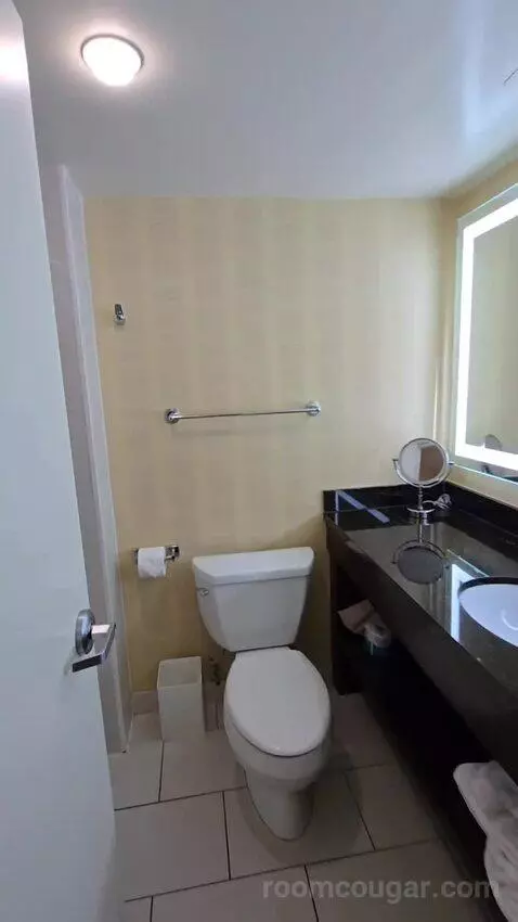 Standard Room with Two Double Beds with Pool View (#904) bathroom picture #12