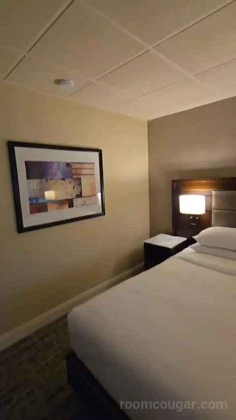 King Room with City View (#1721) bed picture #7