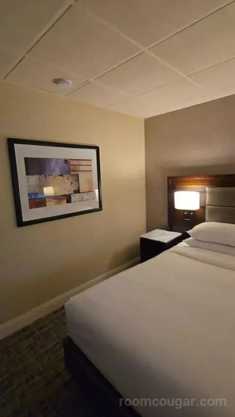King Room with City View (#1721) bed picture #8
