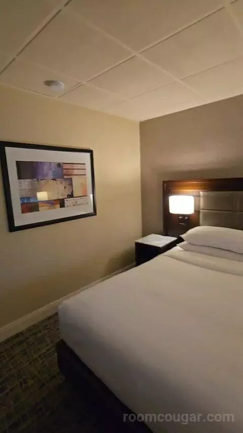 King Room with City View (#1721) bed picture #9