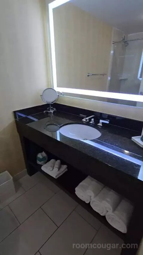 King Room with City View (#1721) bathroom picture #1