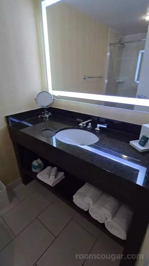 King Room with City View (#1721) bathroom picture #2