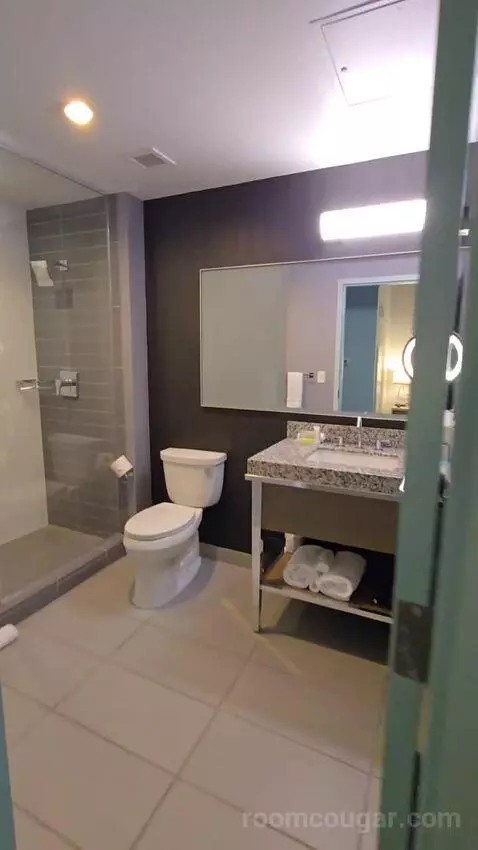 Deluxe Guest Room, 1 King (#211) bathroom picture #2