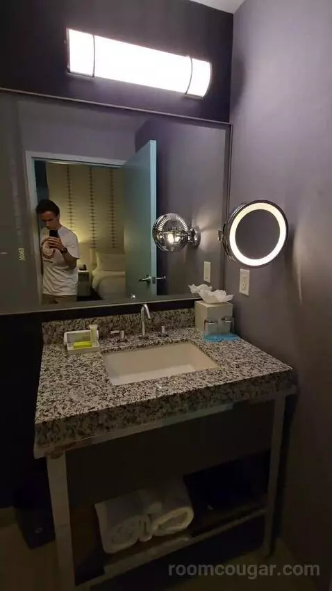 Deluxe Guest Room, 1 King (#211) bathroom picture #3