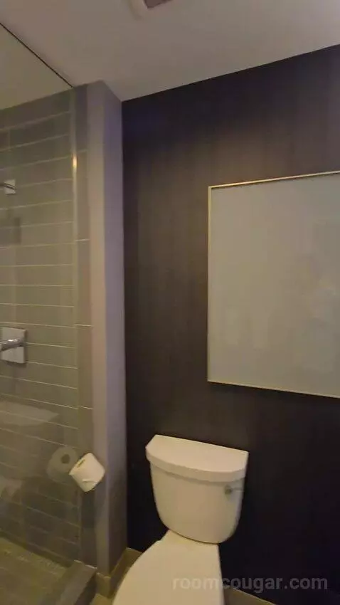 Deluxe Guest Room, 1 King (#211) bathroom picture #4