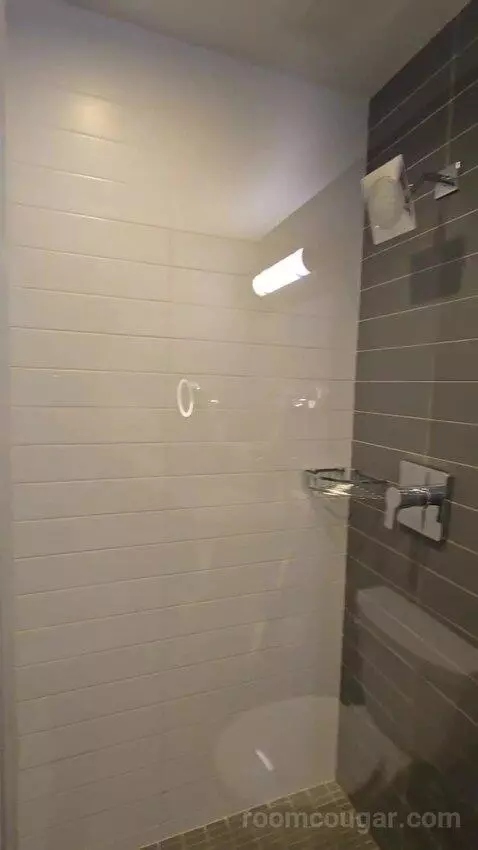 Deluxe Guest Room, 1 King (#211) bathroom picture #5