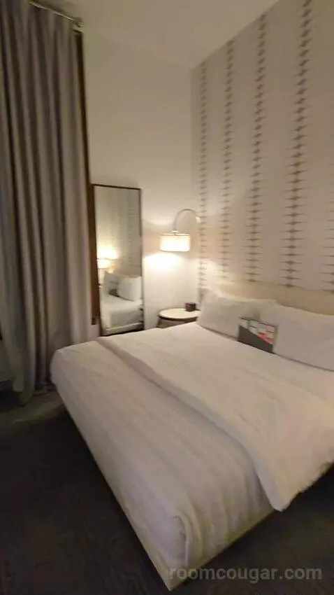 Deluxe Guest Room, 1 King (#211) picture #7