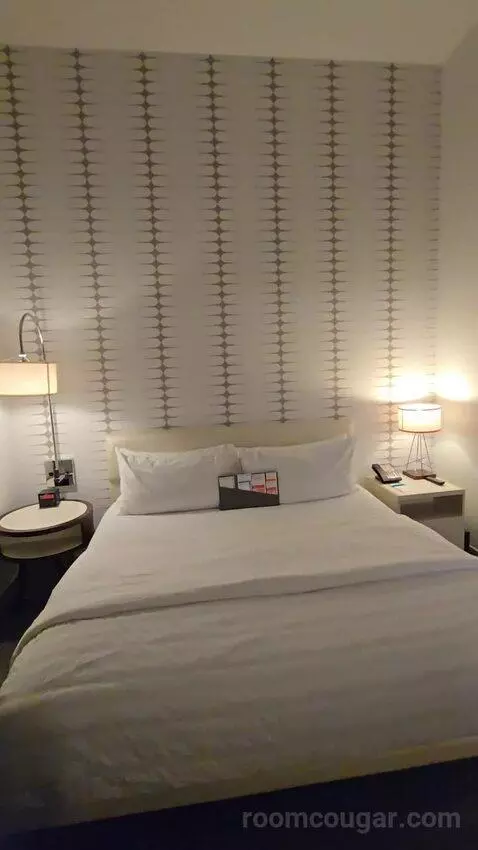 Deluxe Guest Room, 1 King (#211) picture #9
