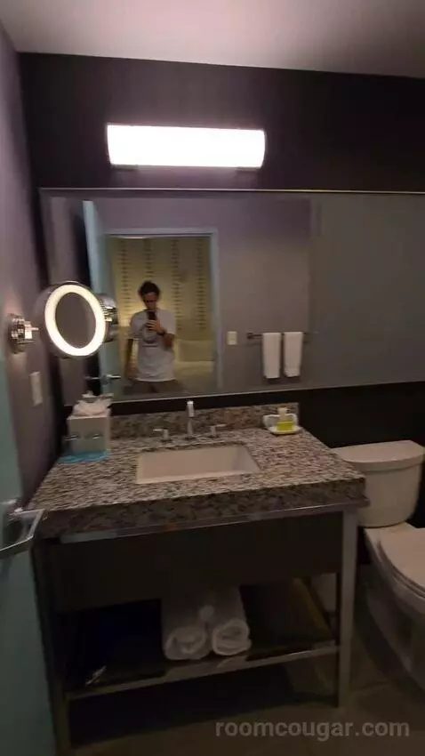 Guest Room, 1 King (#247) bathroom picture #2
