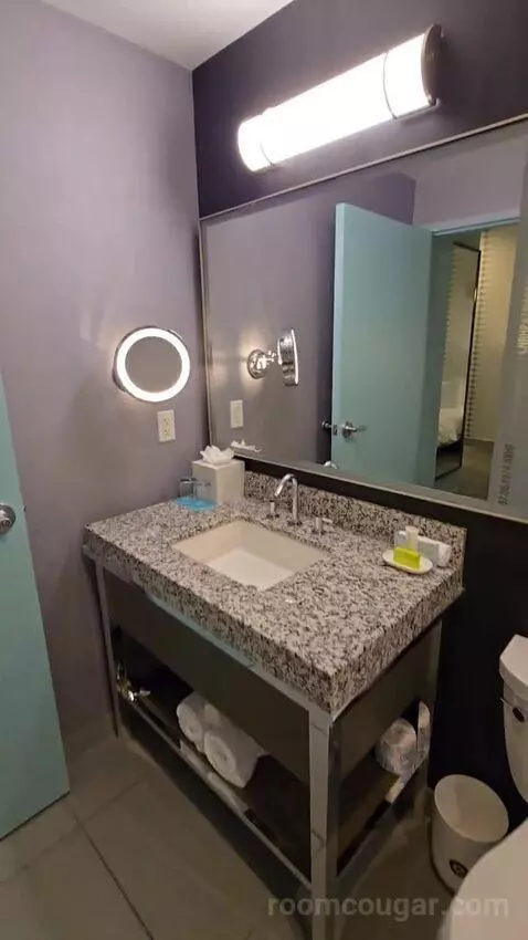 Guest Room, 1 King (#247) bathroom picture #7