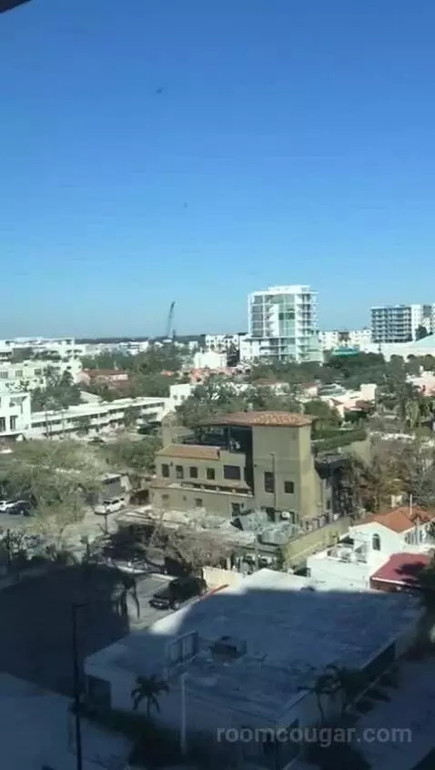 Executive Suite, One Bedroom Studio Suite, One King, City View, Accessible (#708) view picture #10
