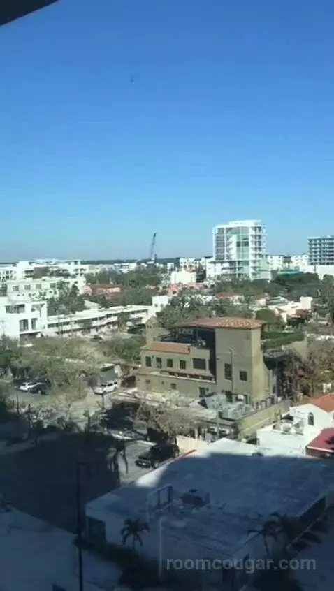 Executive Suite, One Bedroom Studio Suite, One King, City View, Accessible (#708) view picture #12