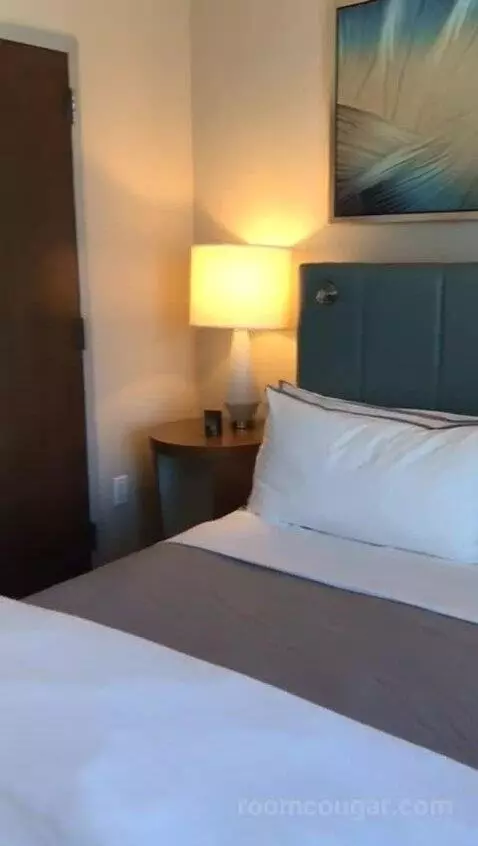 Executive Suite, One Bedroom Studio Suite, One King, City View, Accessible (#708) bed picture #5