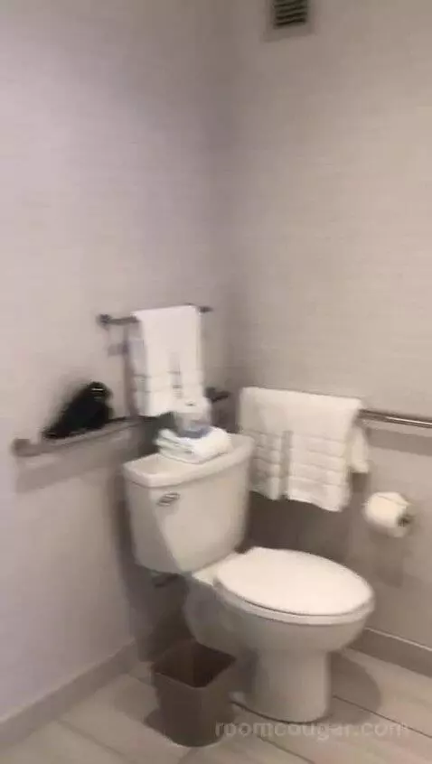 Executive Suite, One Bedroom Studio Suite, One King, City View, Accessible (#708) bathroom picture #1
