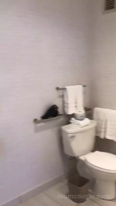 Executive Suite, One Bedroom Studio Suite, One King, City View, Accessible (#708) bathroom picture #3
