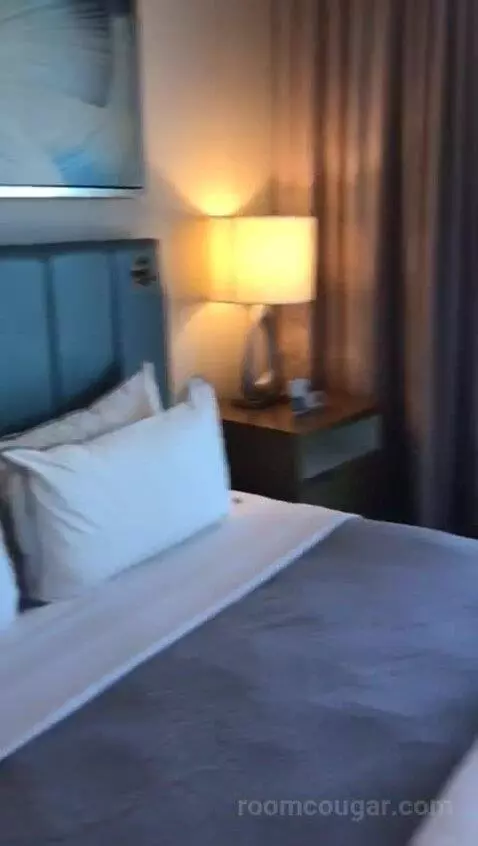 Executive Suite, One Bedroom Studio Suite, One King, City View, Accessible (#708) bed picture #11