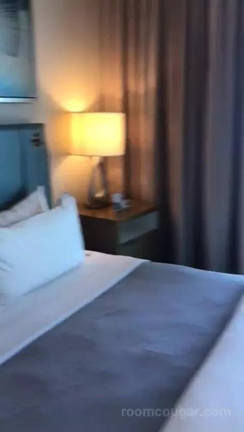 Executive Suite, One Bedroom Studio Suite, One King, City View, Accessible (#708) bed picture #12